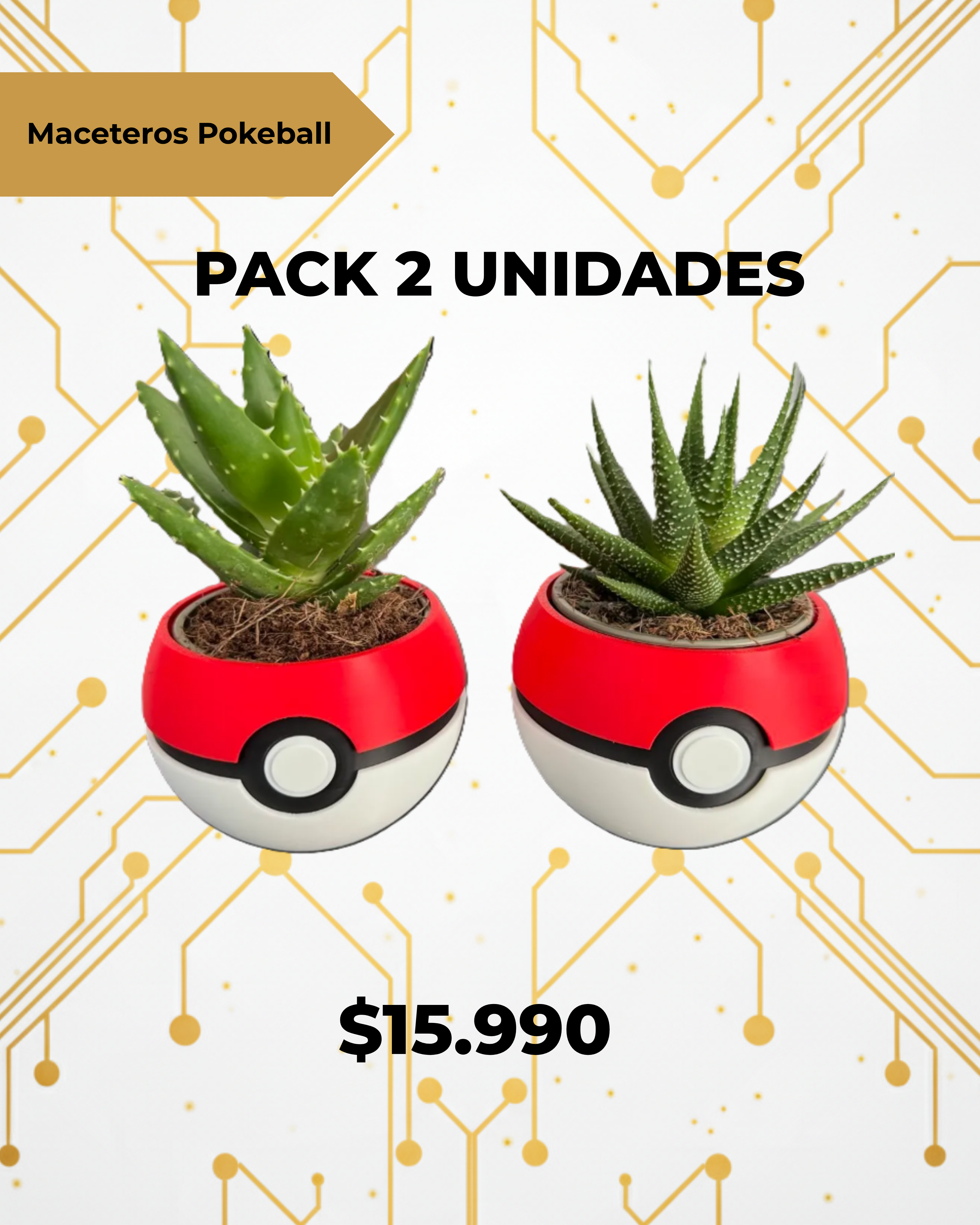Macetero Pack Pokeball